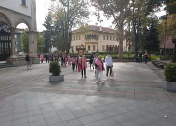 Брзим ходом против рака дојке