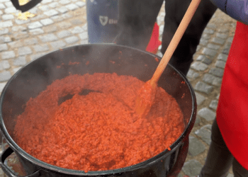 НИШ У ЗНАКУ АЈВАРА И ТРАДИЦИЈЕ