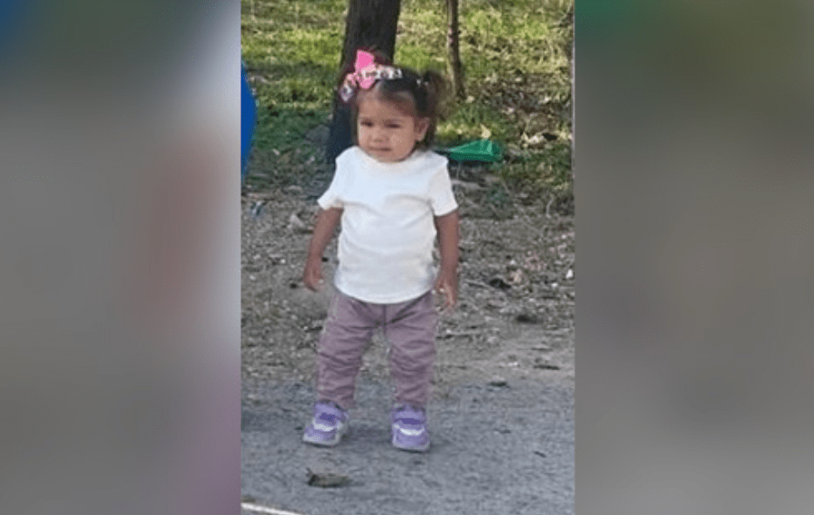 ХИТНА ПОТРАГА ЗА НЕСТАЛОМ ДВОГОДИШЊОМ ДЕВОЈЧИЦОМ У УБУ: АКТИВИРАН СИСТЕМ „ПРОНАЂИ МЕ“