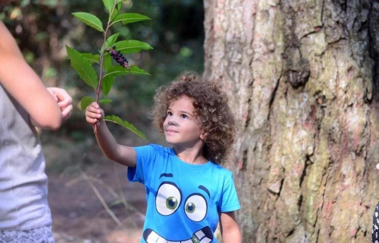 6vrtic 1 У Хрватској отворен шумски вртић: Деца шетају природом, не смета им киша, ни блато. Немају пластичне играчке него их израђују сами