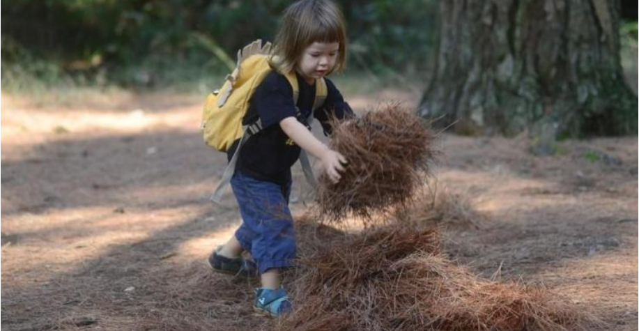 Vrtic u prirodi У Хрватској отворен шумски вртић: Деца шетају природом, не смета им киша, ни блато. Немају пластичне играчке него их израђују сами