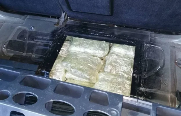 MARIHUANA 1024X656.JPG ЗАПЛЕЊЕНО ВИШЕ ОД 55 КИЛОГРАМА МАРИХУАНЕ НА ГРАНИЧНОМ ПРЕЛАЗУ ГРАДИНА